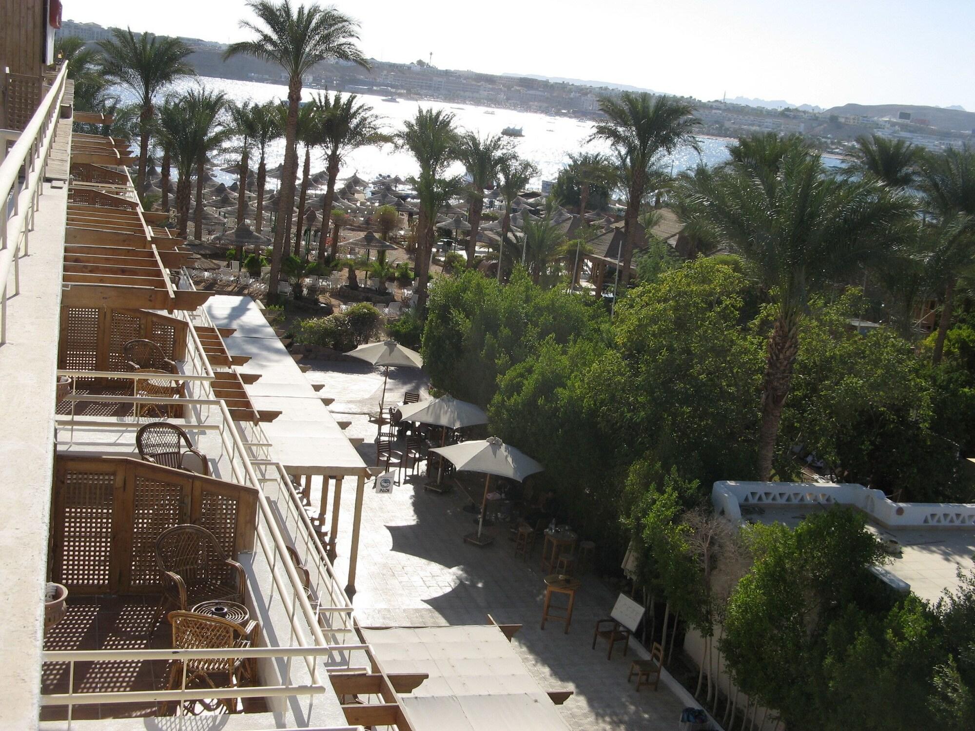 Oonas Dive Club Sharm-el-Sheikh