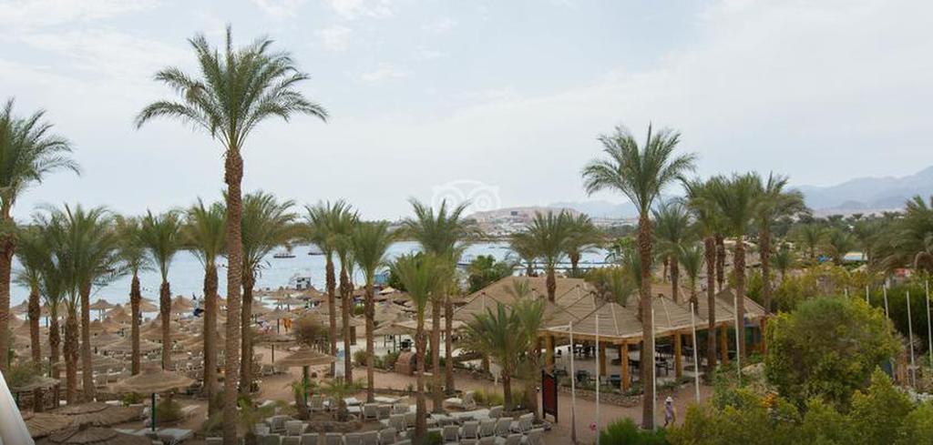 Курортний комплекс Oonas Dive Club