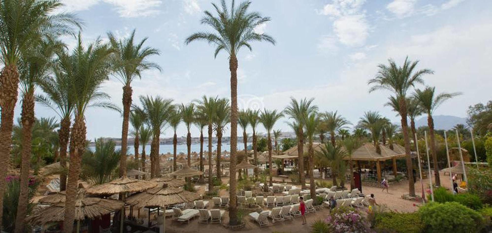 Oonas Dive Club Курортний комплекс 2*